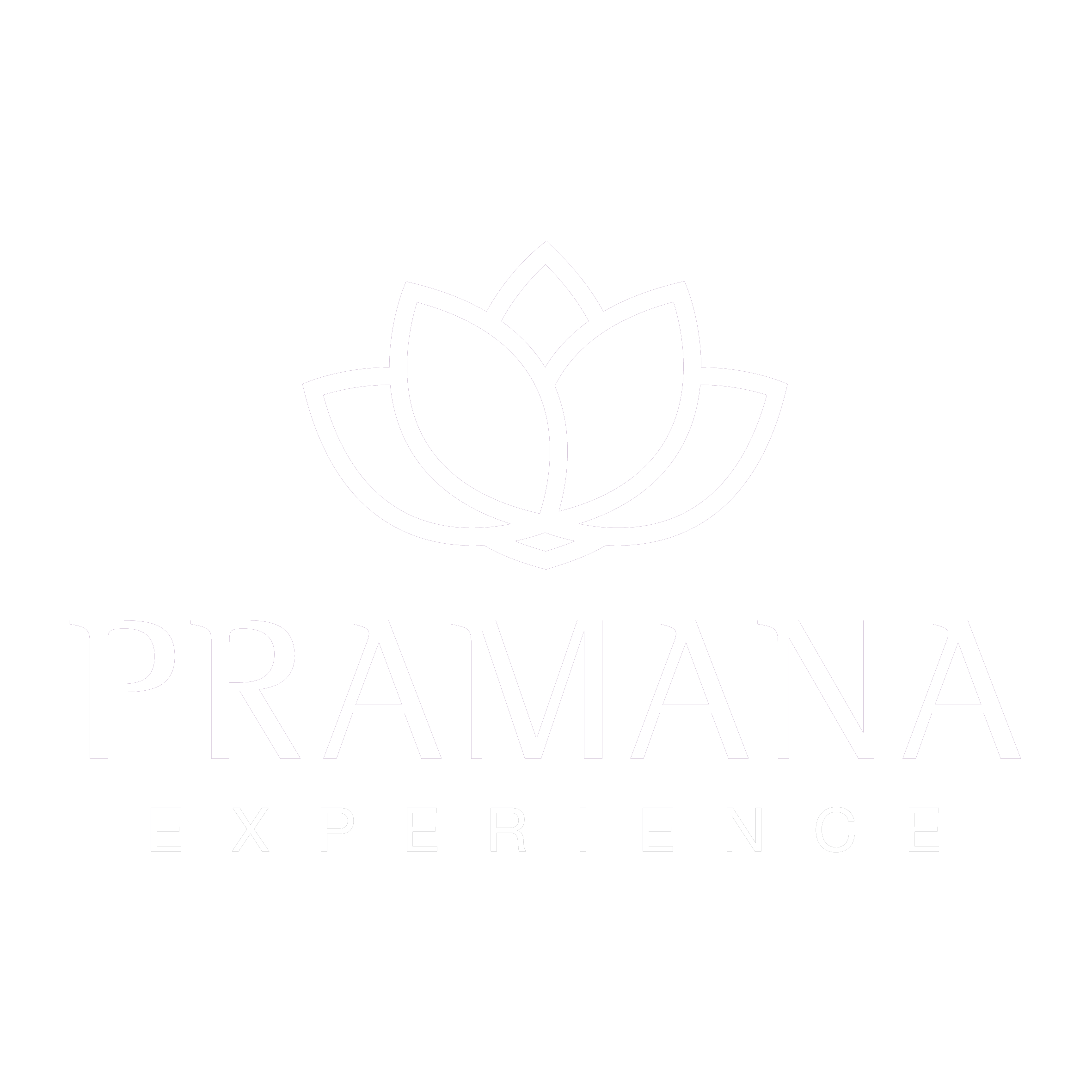 Pramana Experience