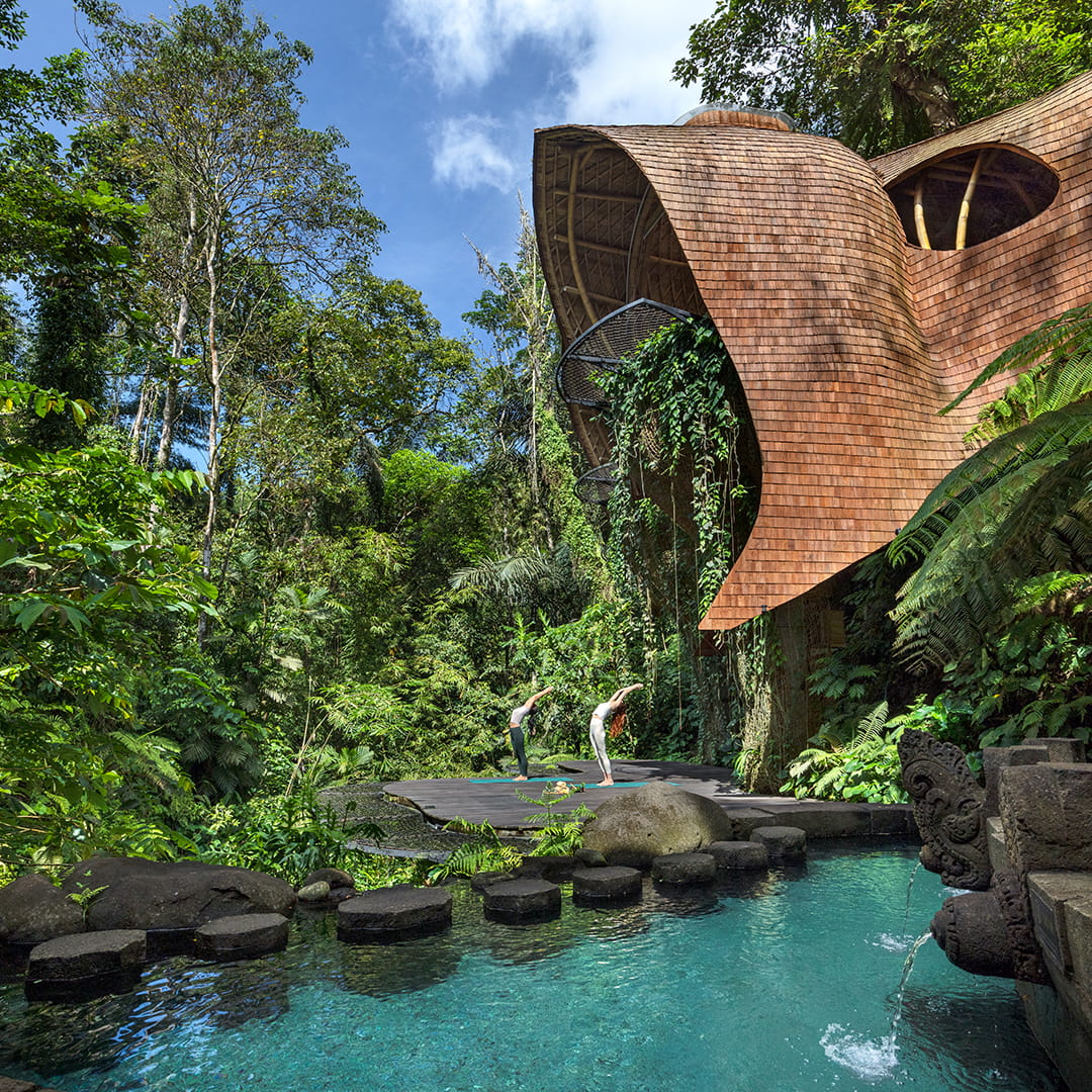 SARIRA SAUCA (HOLY SPRING)