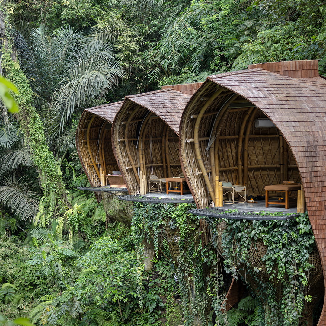 SARIRA SAUCA (HOLY SPRING)