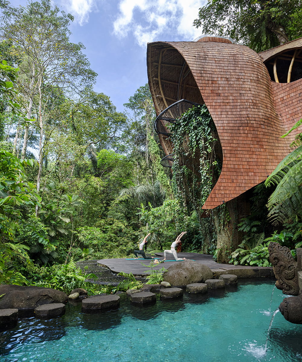 Healing Retreat Package